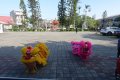 DSC00078.JPG