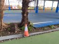 1棵木麻黃之危樹勿近告示.jpg