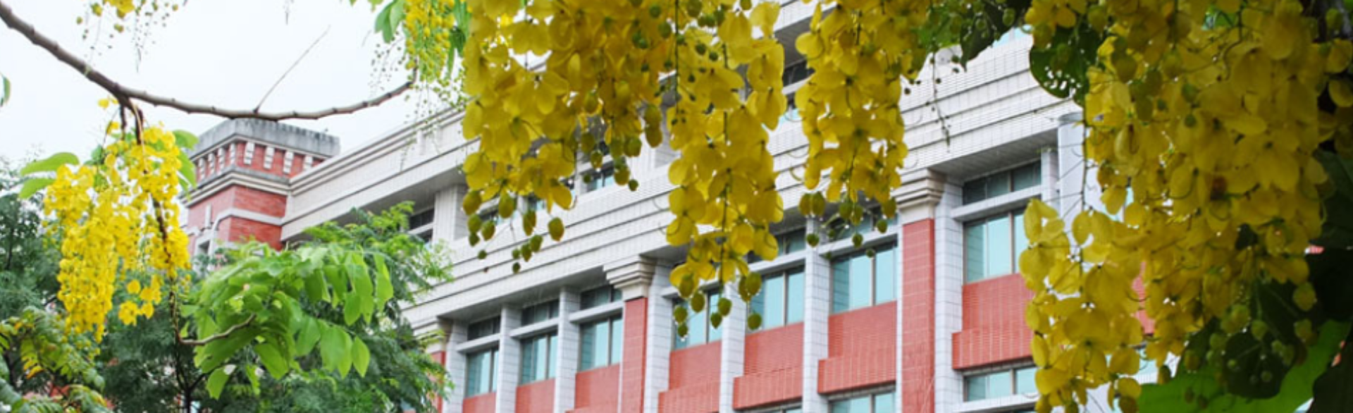 臺南市永康復興國小校園