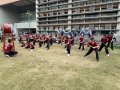 IMG_8872.JPG