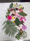 LINE_ALBUM_花葉移印染_220517_44.jpg