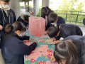 S__5259541.jpg