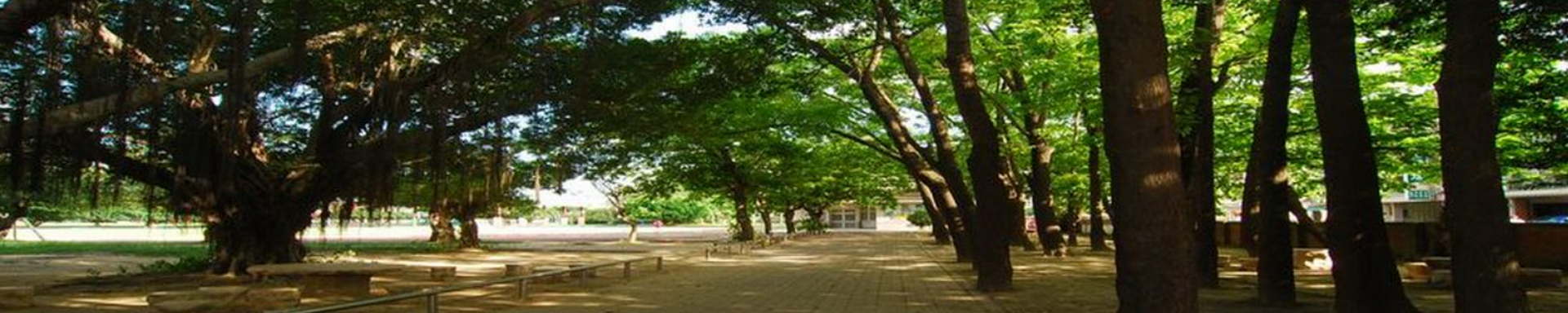 唯也納森林校園照片