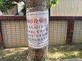 1150331校網公告樹木移除(南棟後方)-1.jpg