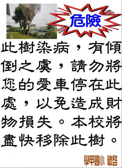 危樹警告.JPG