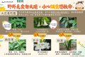 「不採、不食野生不明動植物」.jpg