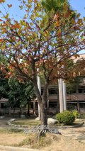 20211222-02.jpg